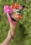 Cone de Flores