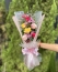Ramalhete com 6 Rosas